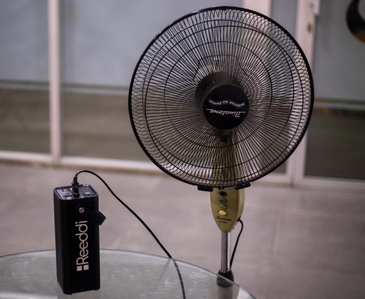 Fans
